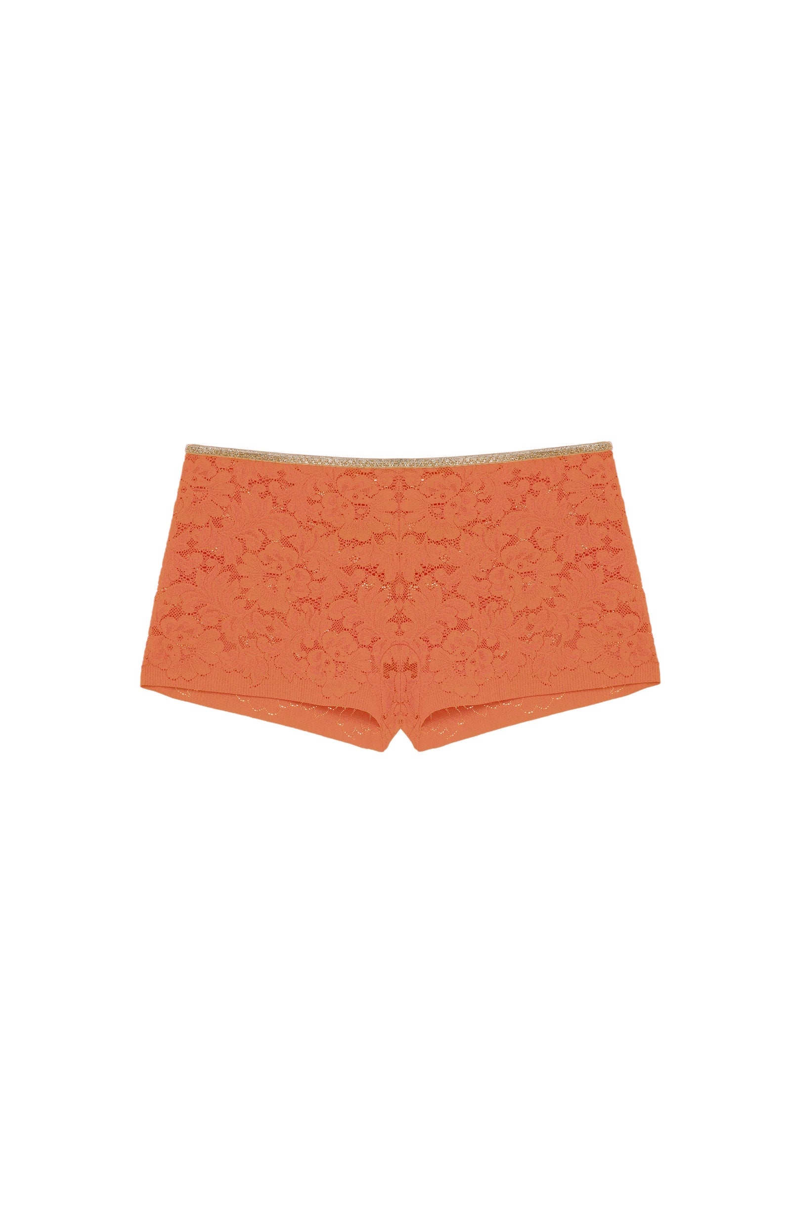 dylan paprika lace and lurex high waisted boyshorts